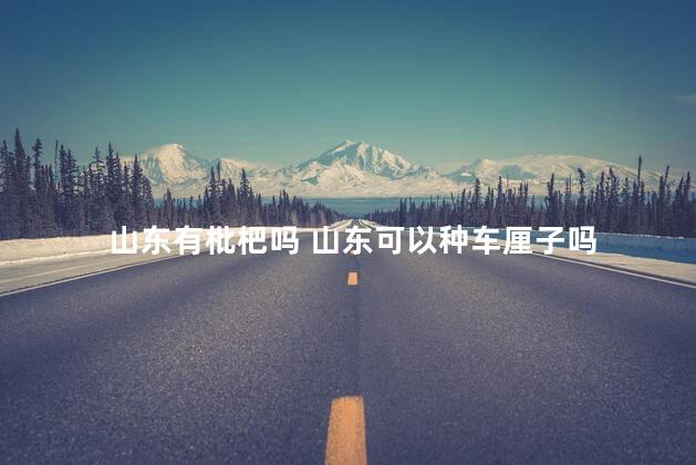 山东有枇杷吗 山东可以种车厘子吗